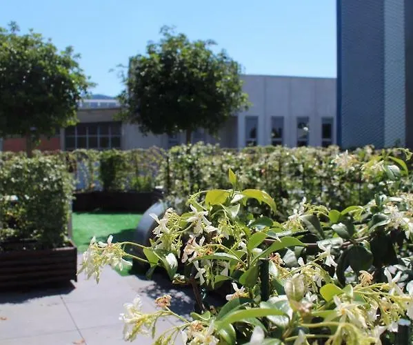 Time Out Aparthotel 3*